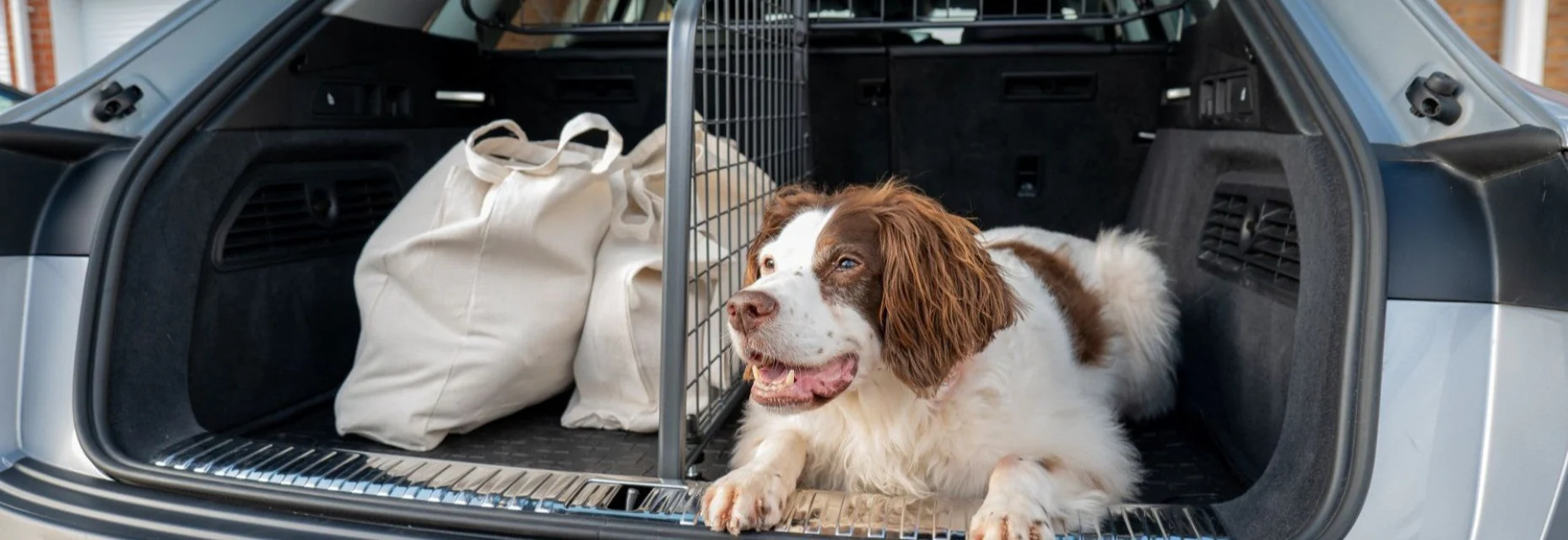 Welcome to Our Store